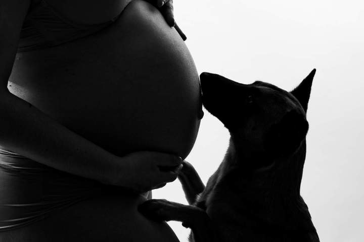 En Attendant Bébé 63